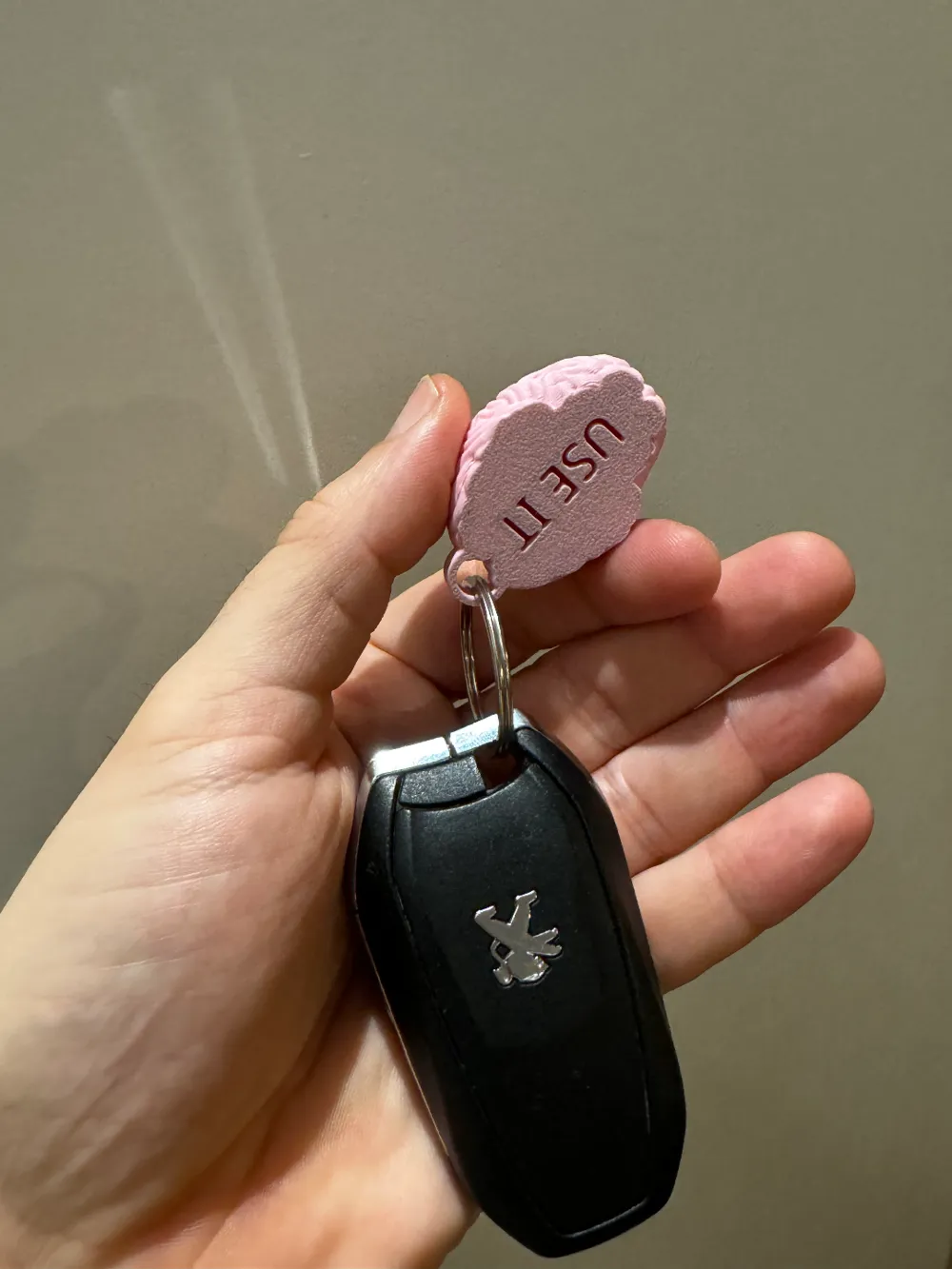 Privjesak za Ključeve Mozak / Iskoristi Ga