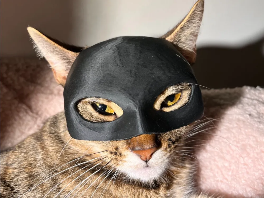 Maska za Mačke / Catwoman
