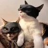 Maska za Mačke / Catwoman