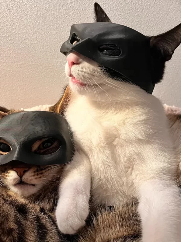 Maska za Mačke / Catwoman
