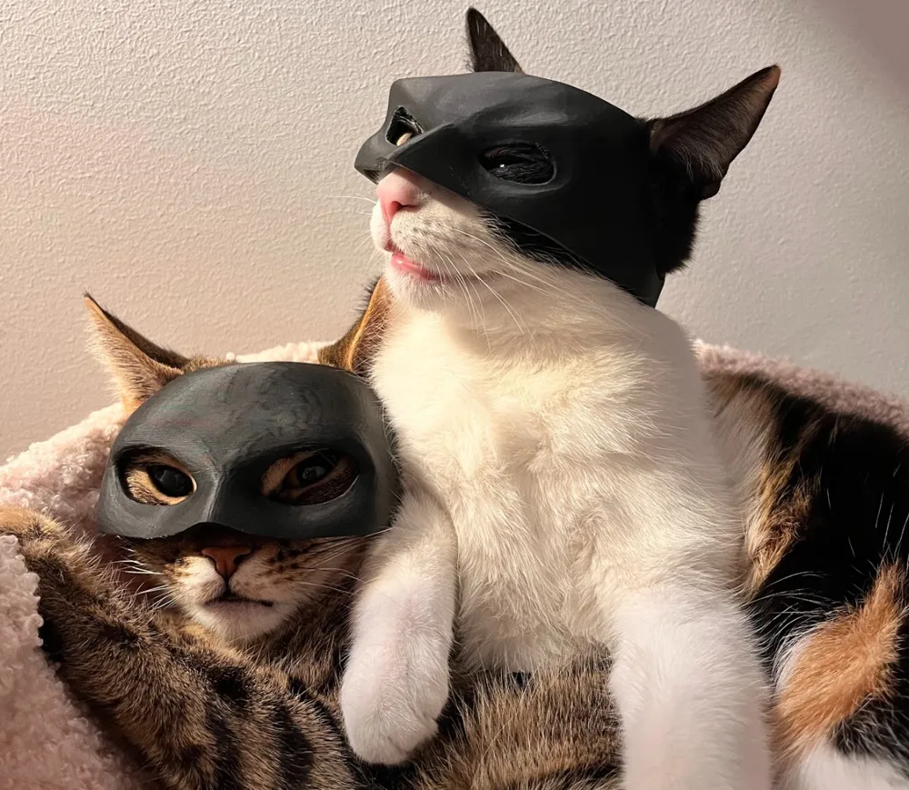 Maska za Mačke / Catwoman