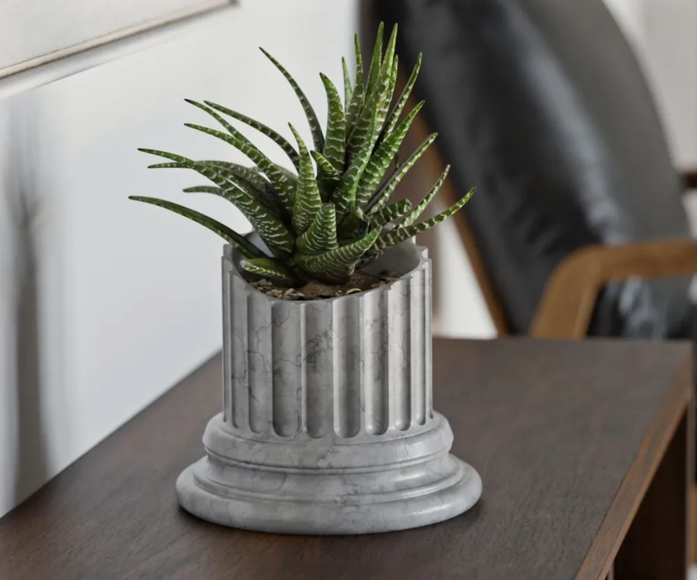 Saksija Za Biljke - Elegantan Dodatak Tvom Domu I Vrtu