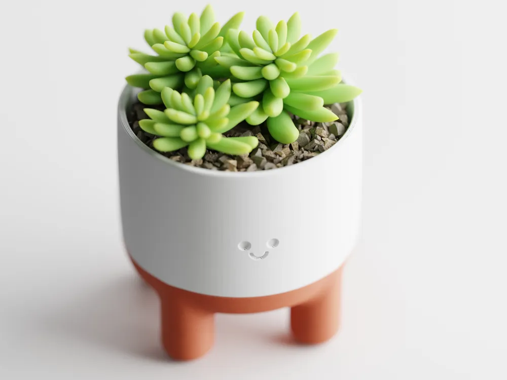 Saksija sa Osmijehom - Spoj Elegancije i Udobnosti