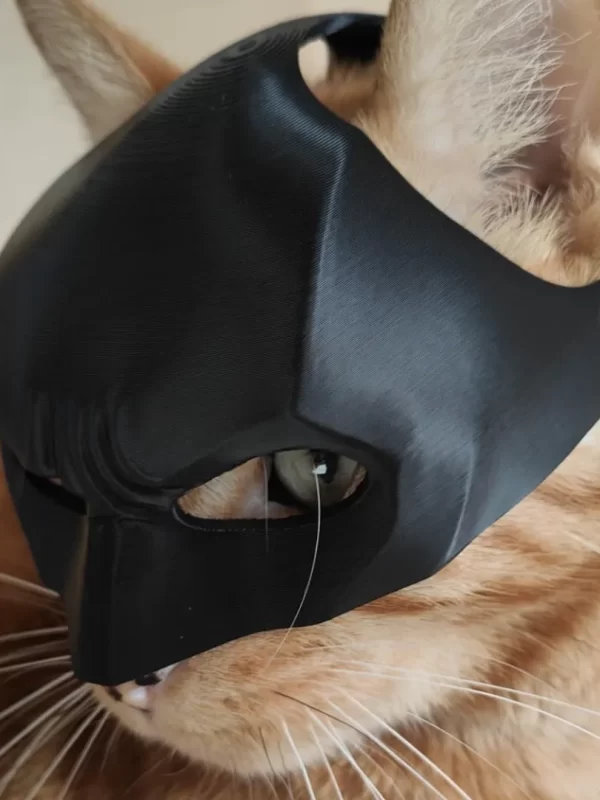 Batman Maska za Mačke