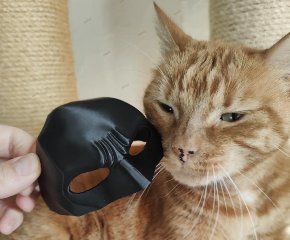 Batman Maska za Mačke