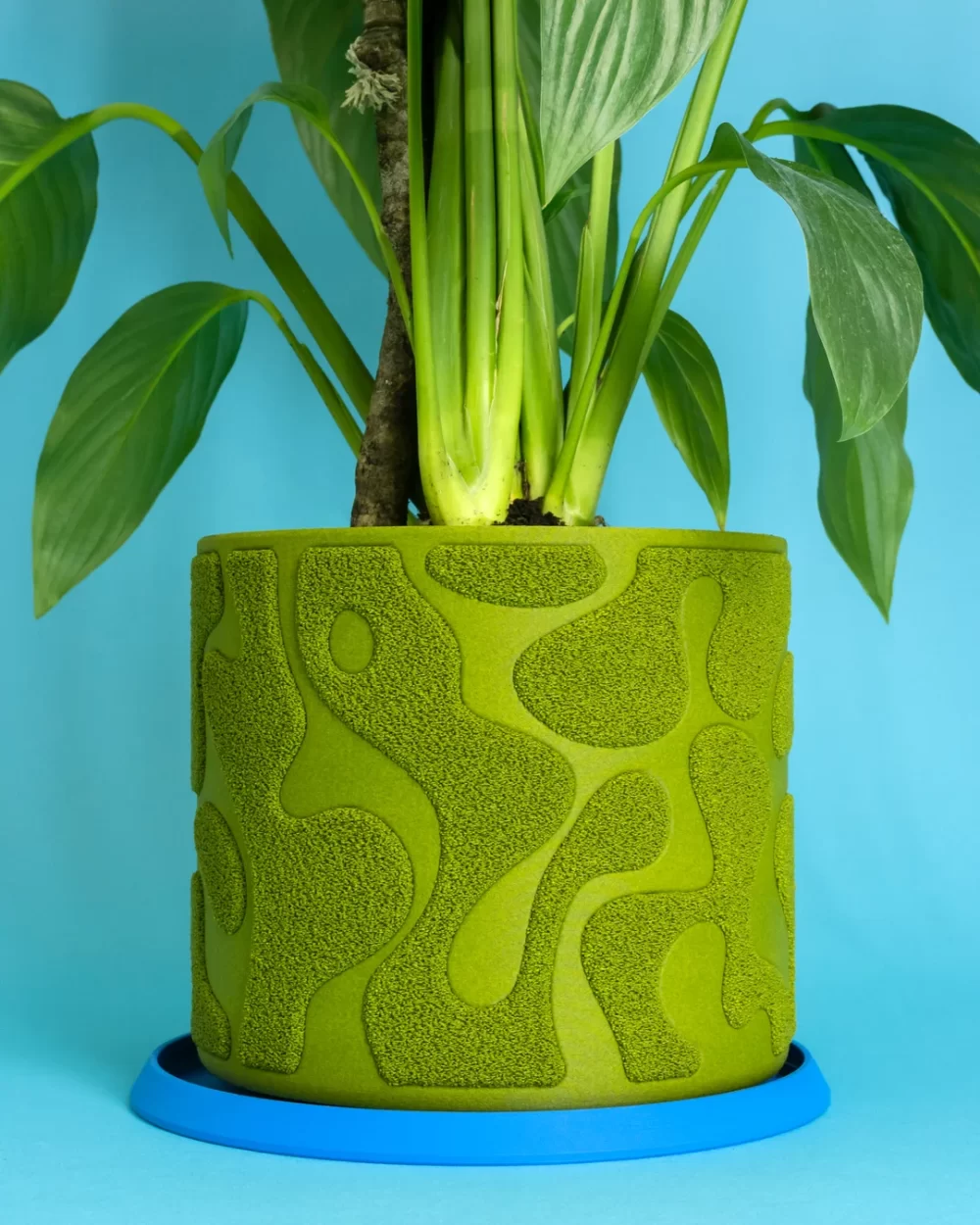 Saksija Za Biljke - Savršen Izbor Za Tvoj Dom I Vrt