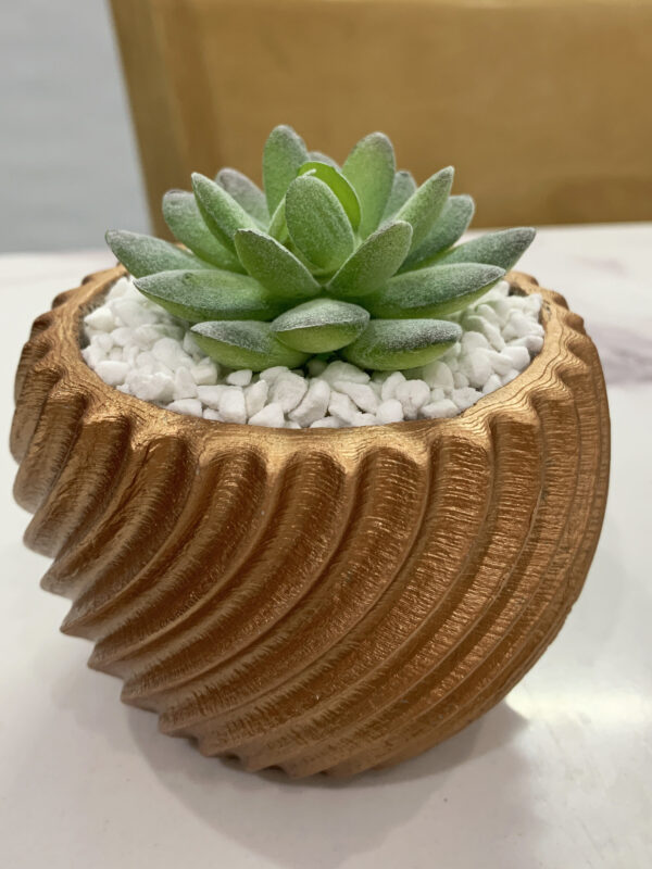 Kalup za Saksiju sa Uvijenim Dizajnom / 3D Print