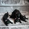 Privjesci za Kljuceve / Fleksibilna Maca